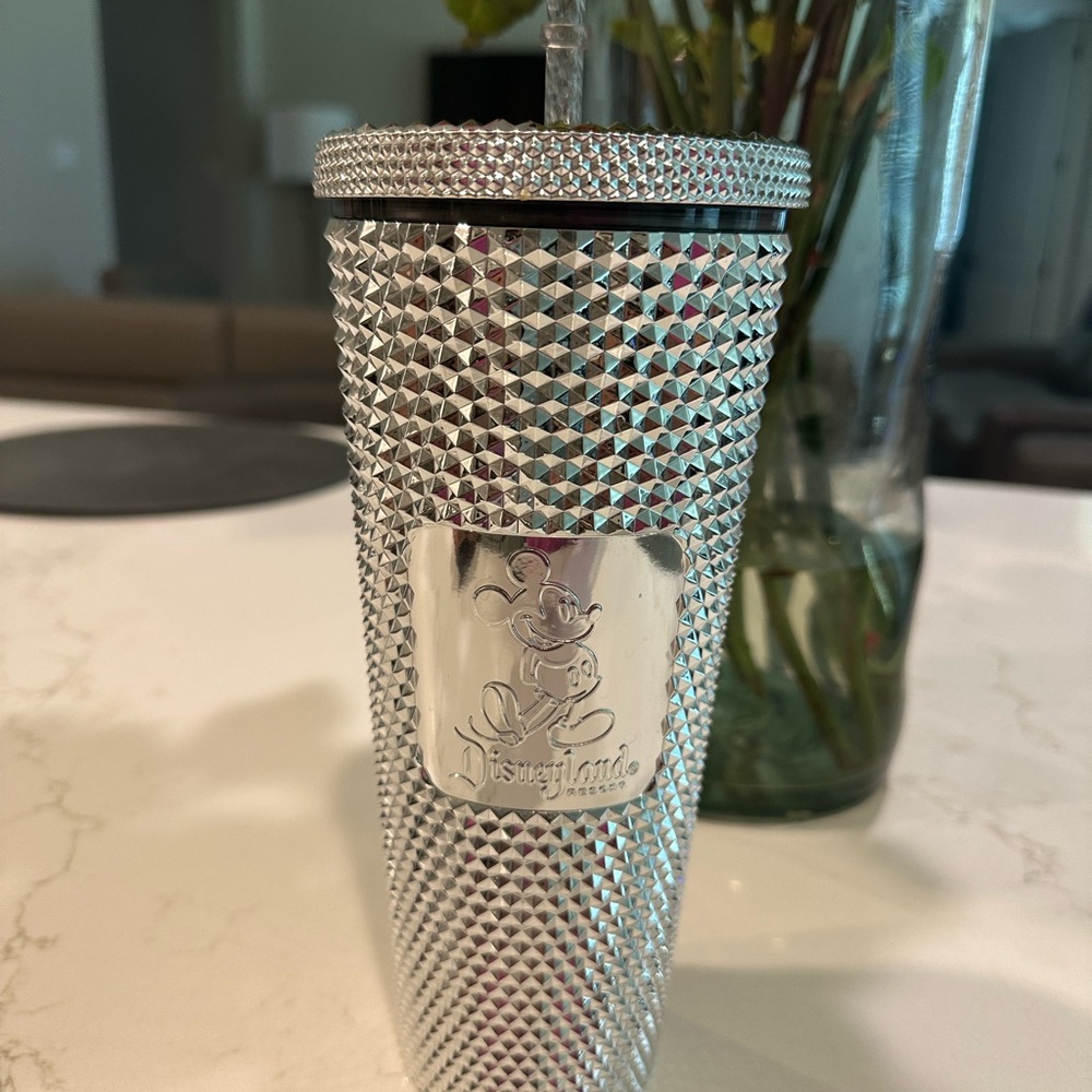 Starbucks Silver Studded Tumbler with Straw